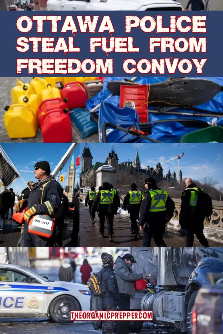 Ottawa Cops Stole Gas, Lied to the Press, Arrested People, But the Freedom Convoy Remains