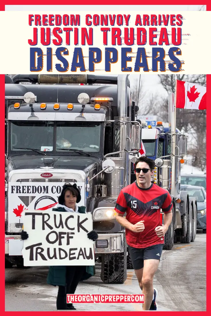 Freedom Convoy Arrives. Justin Trudeau Disappears.