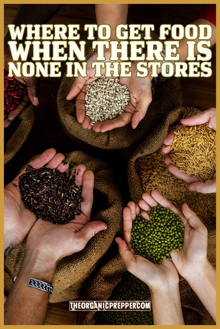 Where to Get Food When There Is None in the Stores