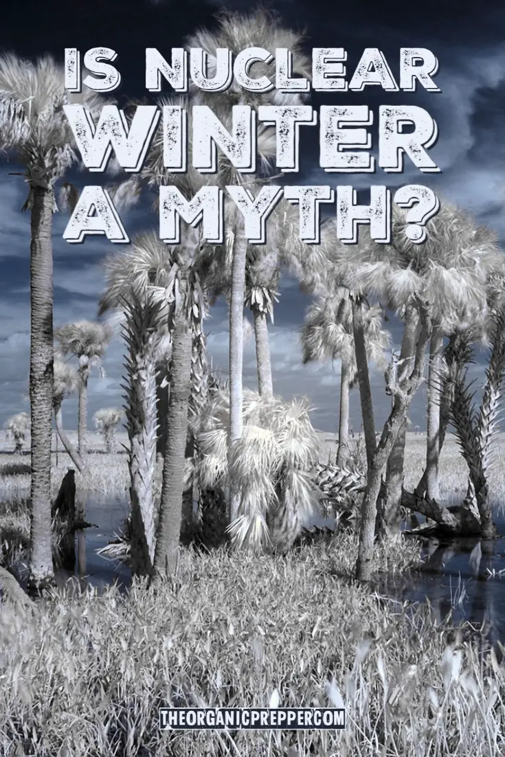 Is Nuclear Winter a Myth?