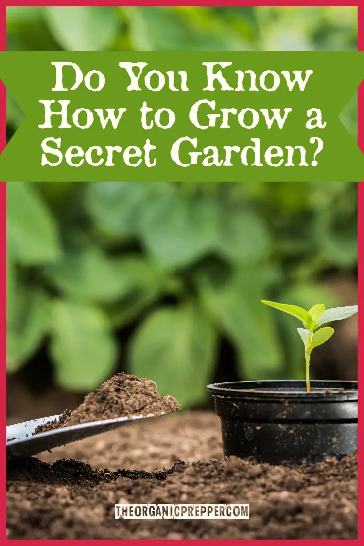 Do You Know How to Grow a Secret Garden?