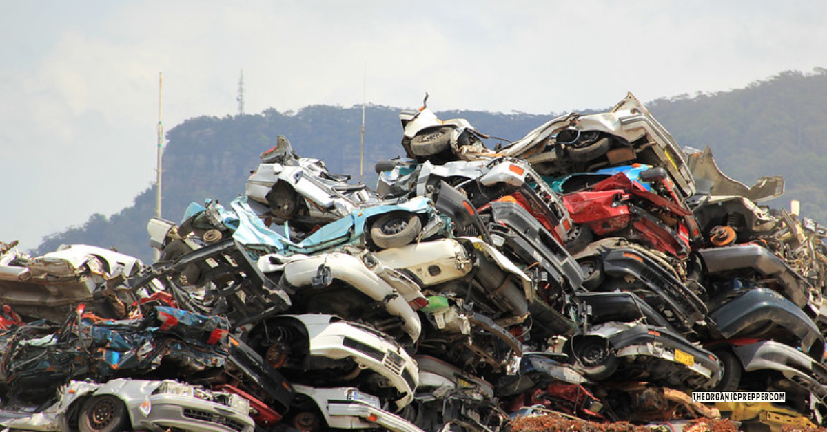 Washington State Is BANNING NonElectric Cars by 2030