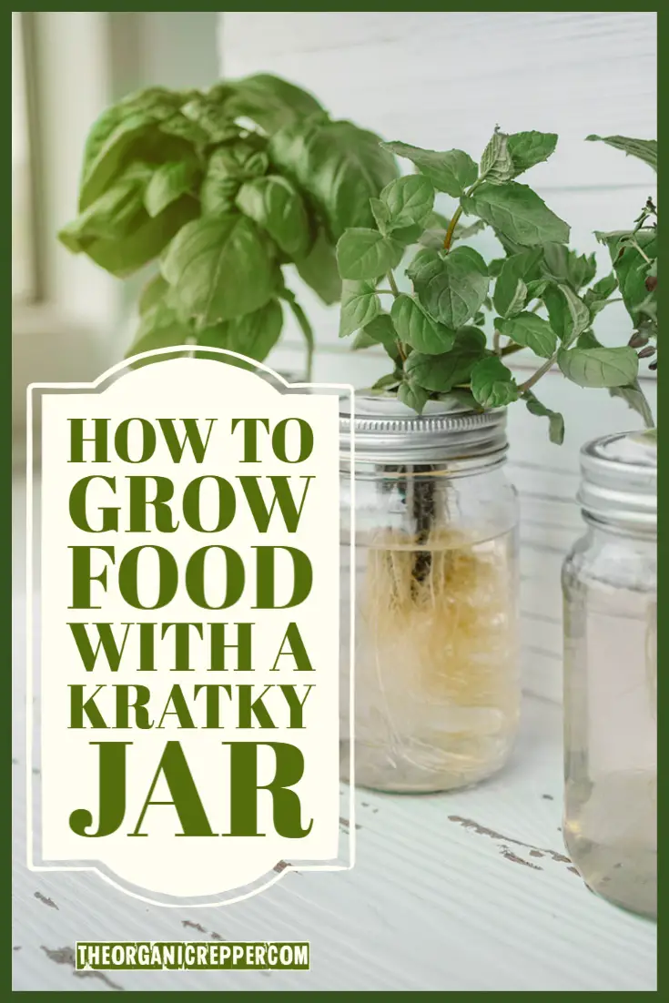 Hydroponics: How To Grow Food With A Kratky Jar