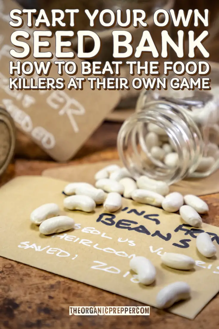 Start Your Own Seed Bank: How to Beat the Food Killers at Their Own Game