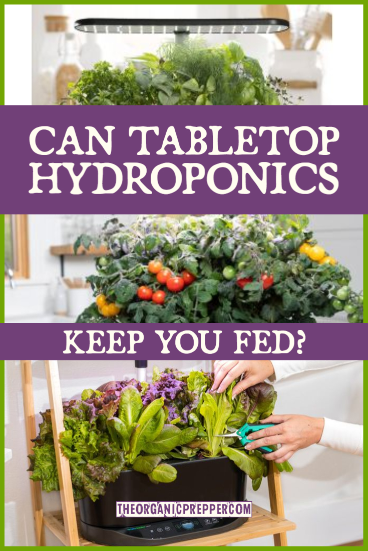 Can Tabletop Hydroponics Keep You Fed?