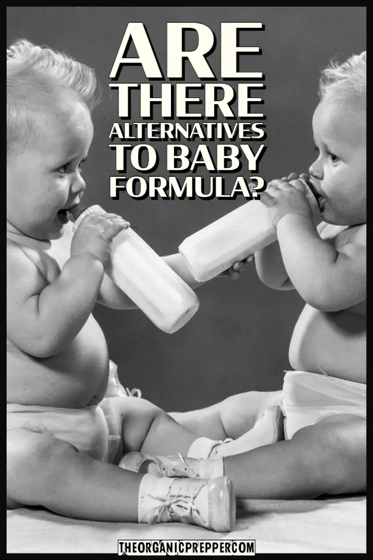 Are There Alternatives to Commercial Baby Food and Formula?