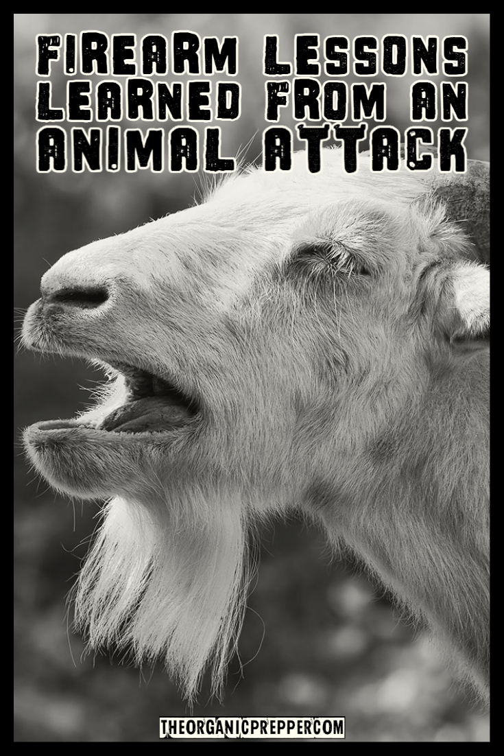 10 Firearm Lessons Learned from an Animal Attack