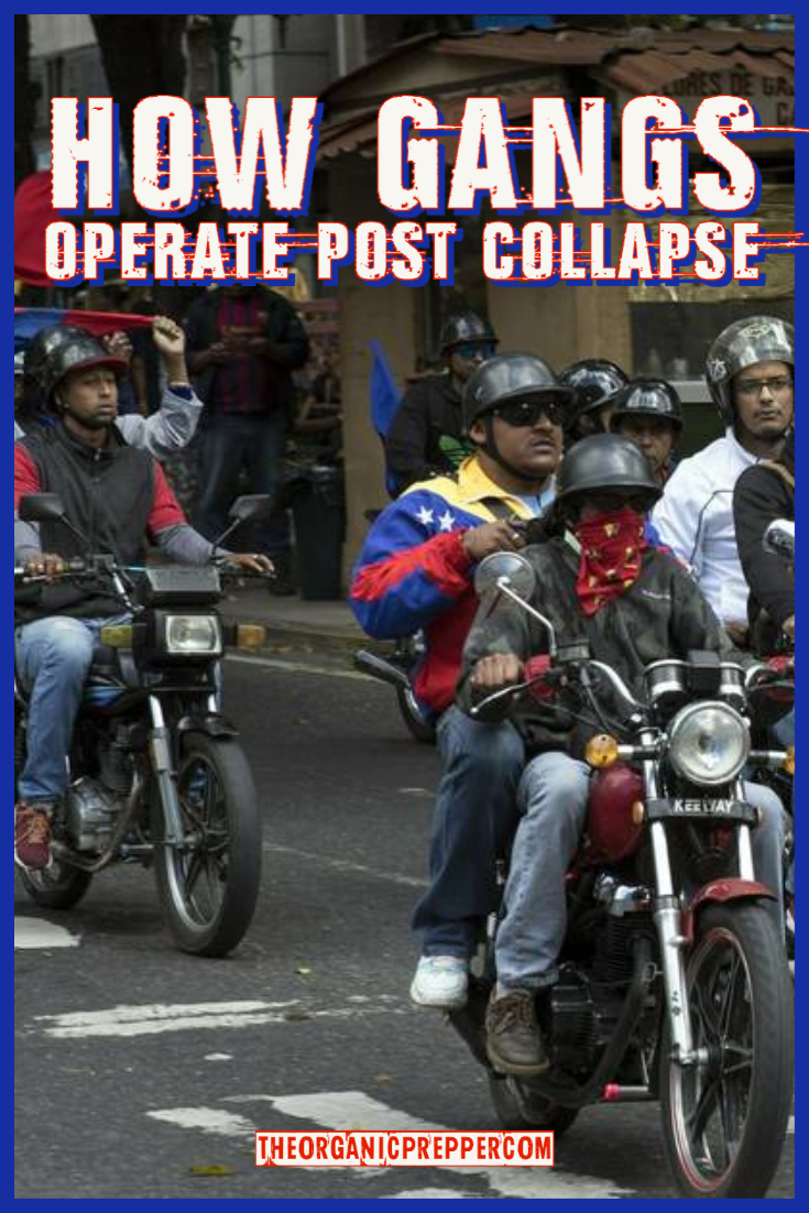 How Gangs Operate Post-Collapse