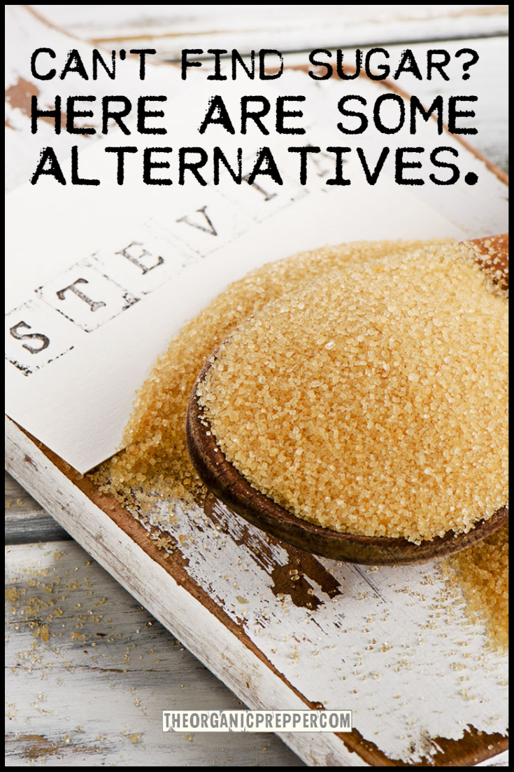 Can't Find Sugar? Here are Some Alternatives.