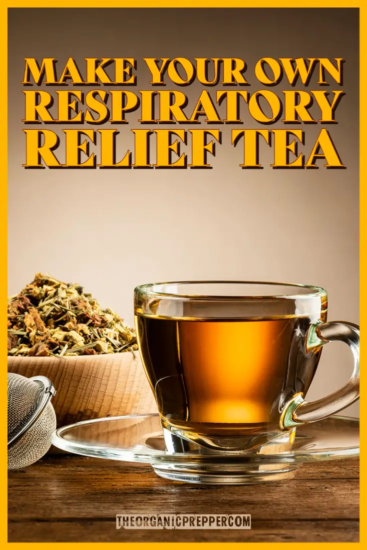 Make Your Own Respiratory Relief Tea
