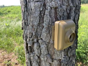 How to Set Up an Off-Grid Early Alert System - The Organic Prepper