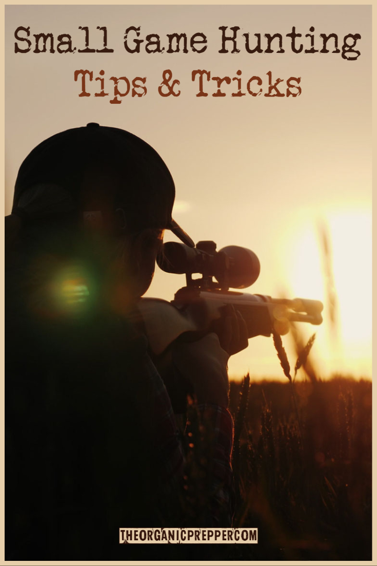 Small Game Hunting: Tips & Tricks