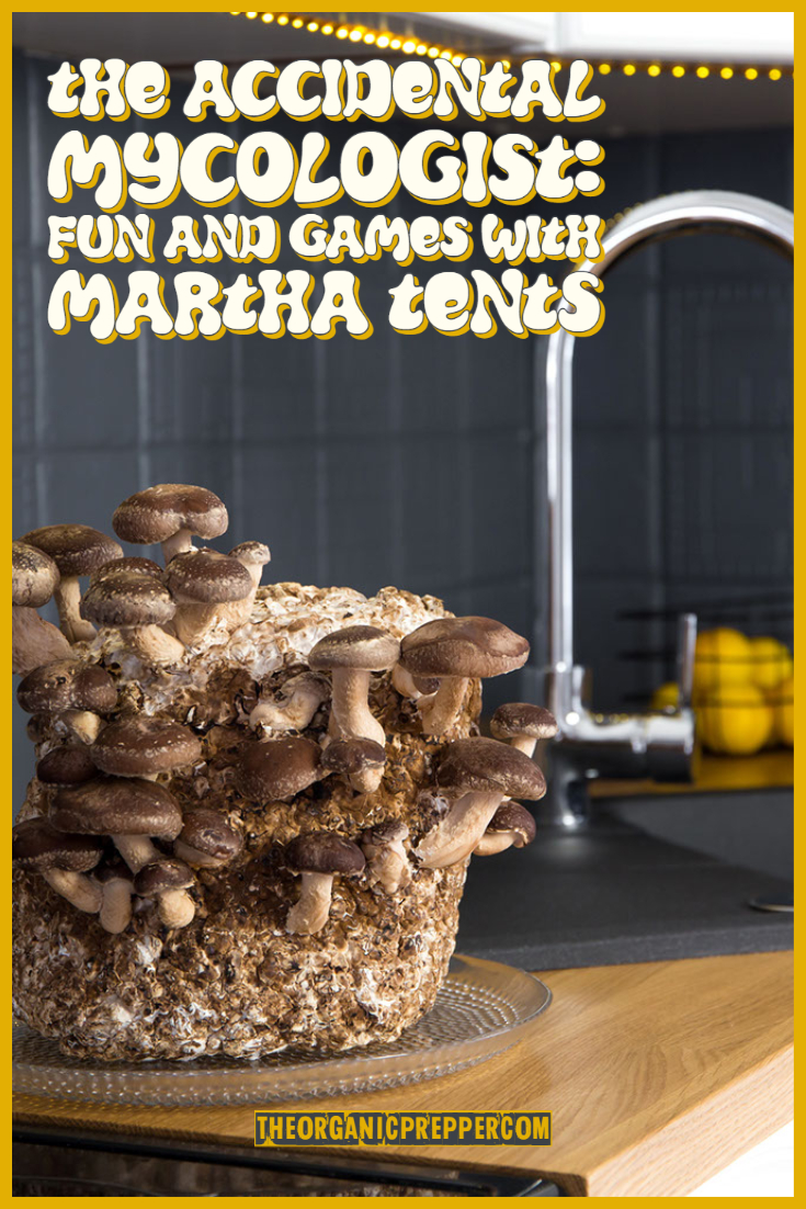 The Accidental Mycologist: Fun and Games With Martha Tents