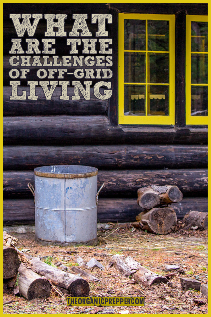 What It's REALLY Like to Live Off-Grid
