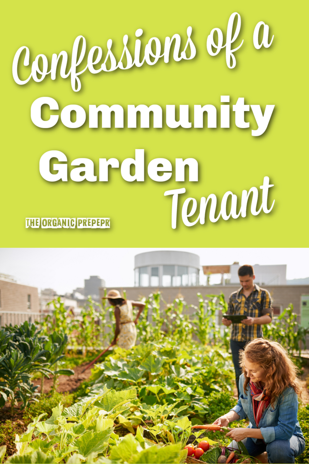 Confessions of a Community Garden Tenant