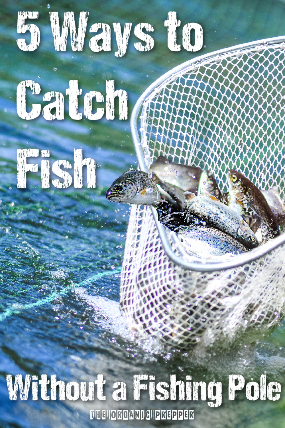 5 Ways to Catch Fish Without a Fishing Pole