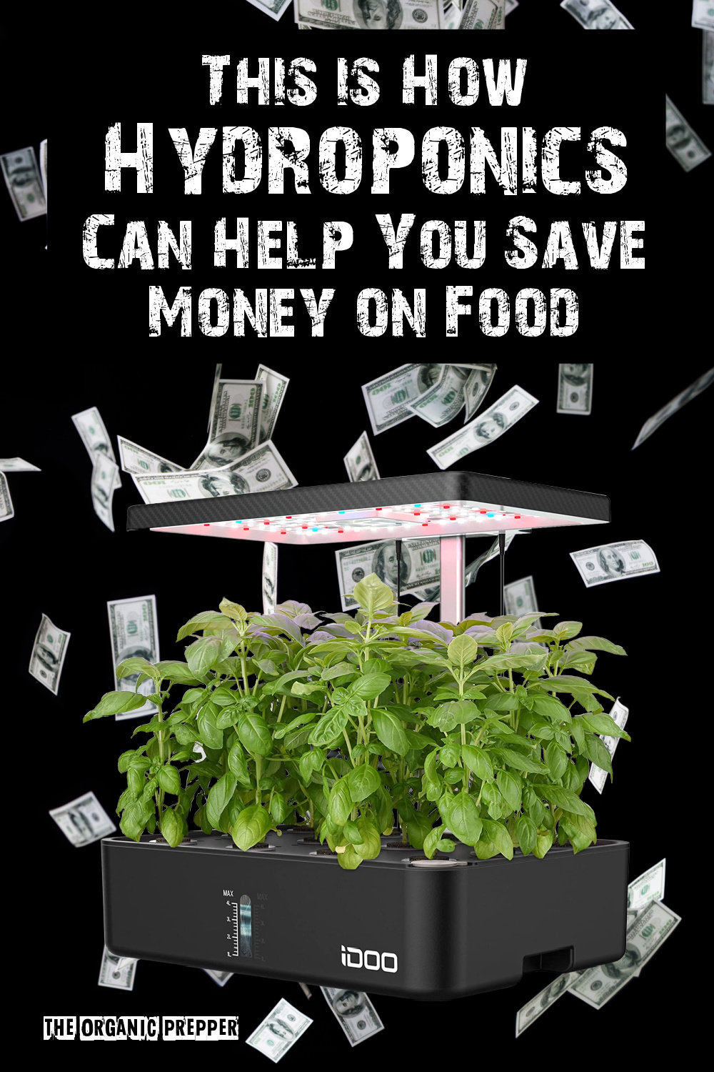 Here\'s How Hydroponics Can Help You Save Money on Food
