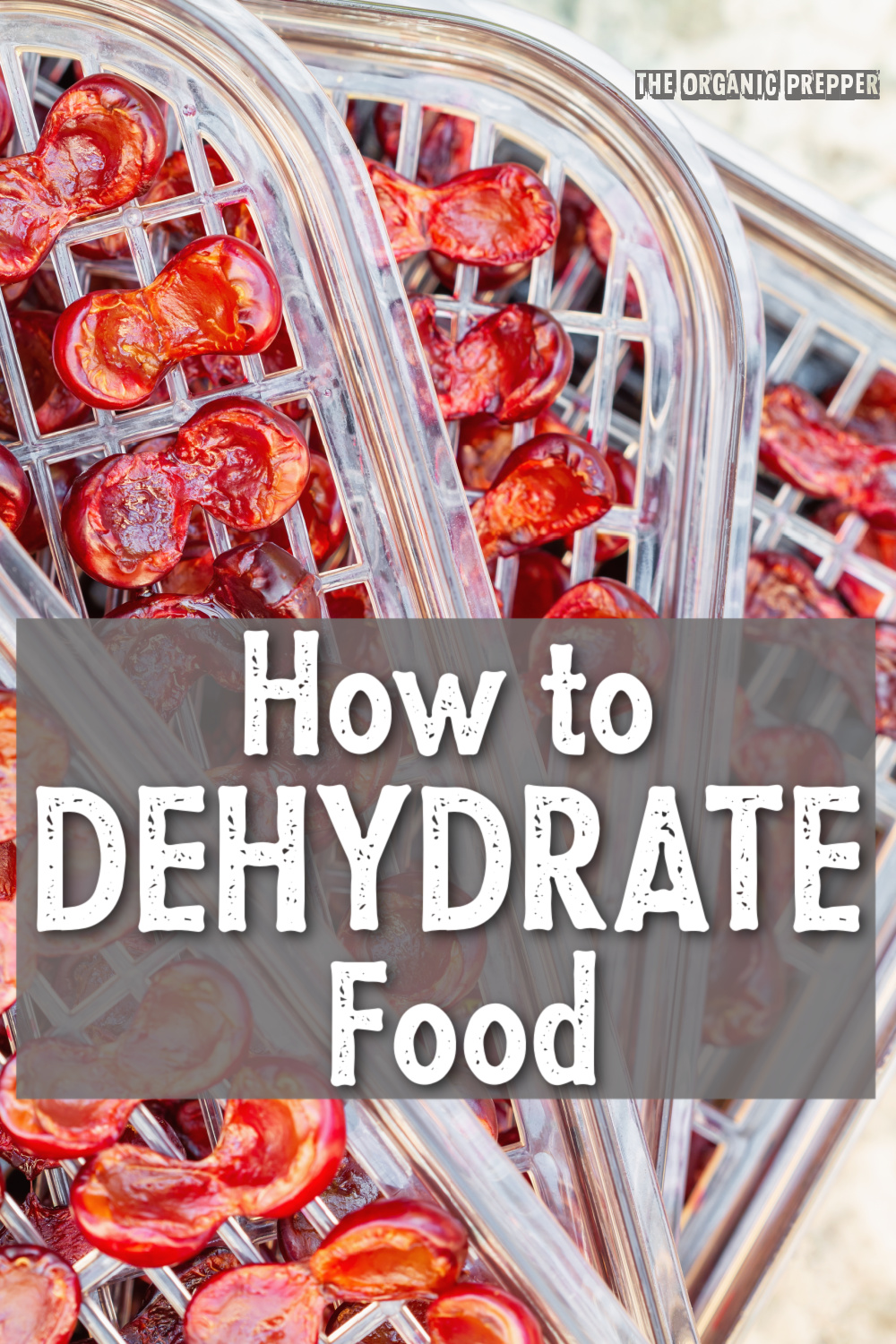 How to Dehydrate Food