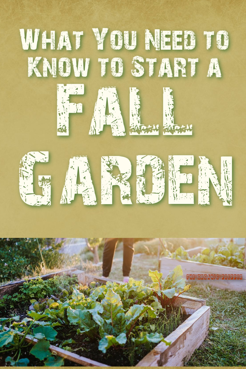 What You Need to Know to Start a Fall Garden