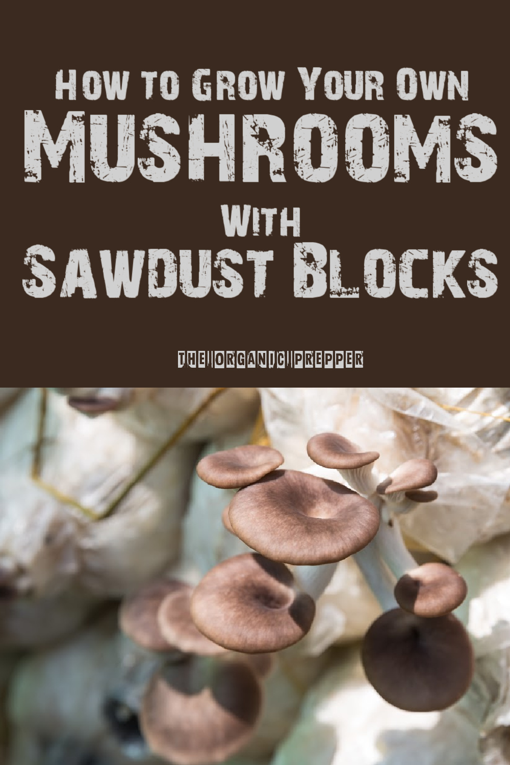 How to Grow Your Own Mushrooms With Sawdust Blocks