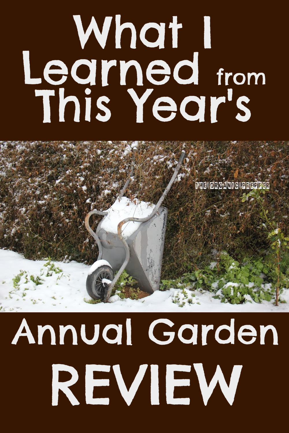 What I Learned From This Year's Annual Garden Review