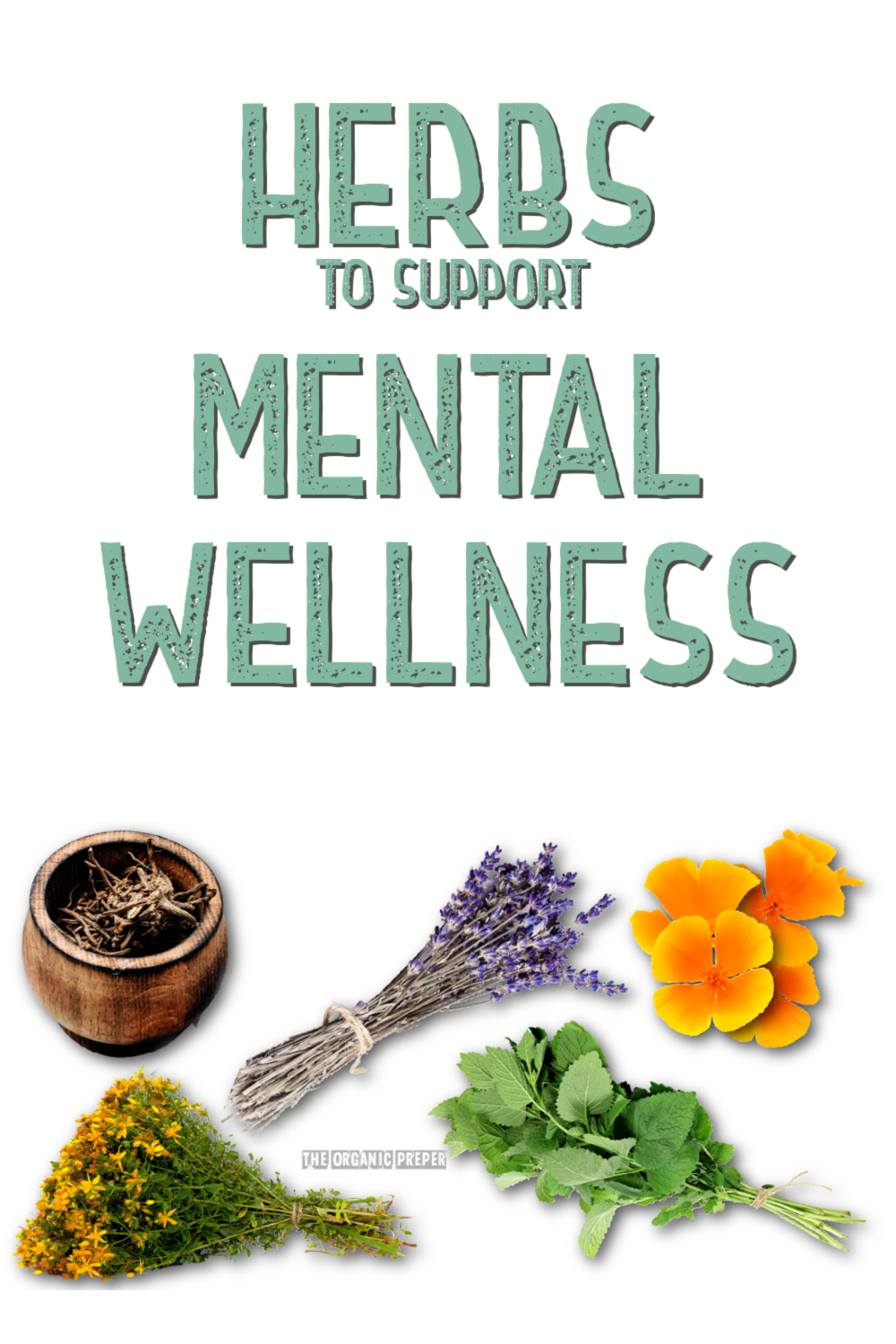 These Herbs Support Mental Wellness
