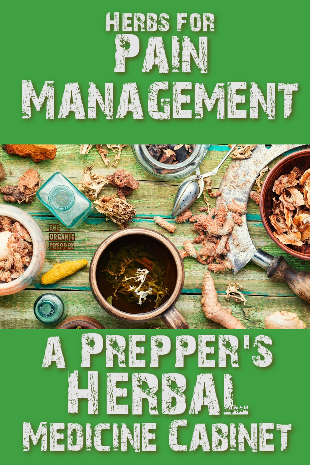 Herbs for Pain Management: A Prepper\'s Herbal Medicine Cabinet