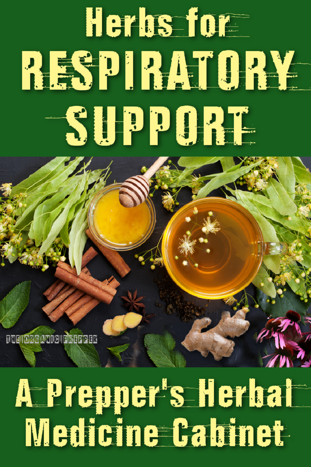 Herbs for Respiratory Support: A Prepper\'s Herbal Medicine Cabinet