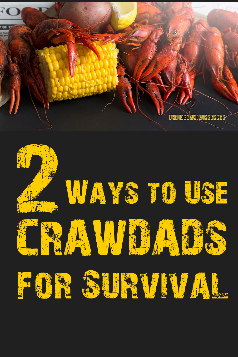 Two Ways to Use Crawdads for Survival