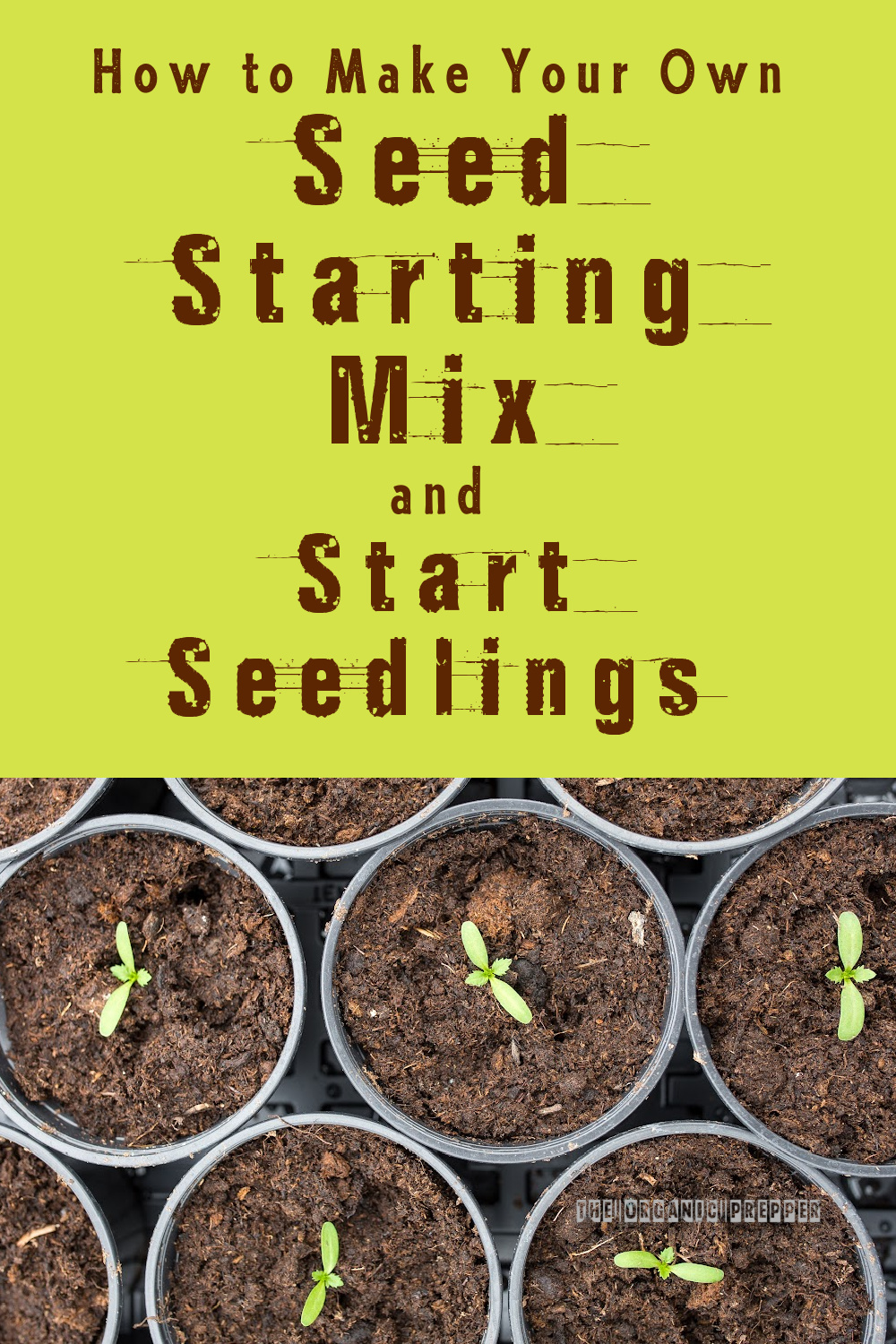 How to Make Your Own Seed Starting Mix and Start Seedlings