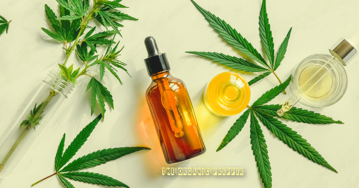 Should Preppers Consider CBD for Their Medical Stockpiles?