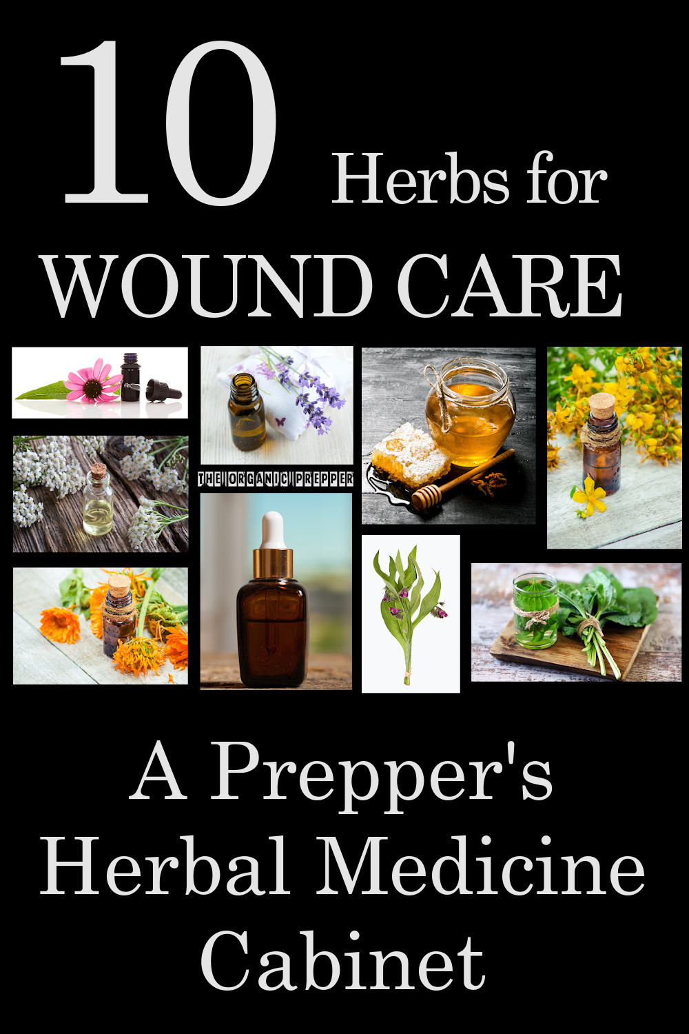 10 Herbs for Wound Care: A Prepper's Herbal Medicine Cabinet