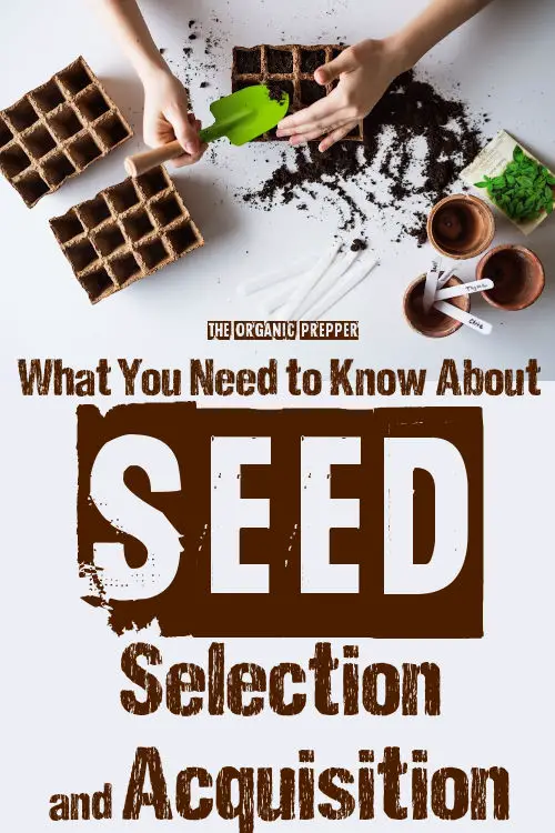 What You Need to Know About Seed Selection and Acquisition