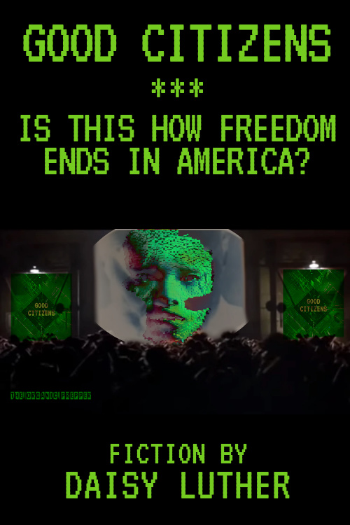 Good Citizens: Is This How Freedom Ends in America?