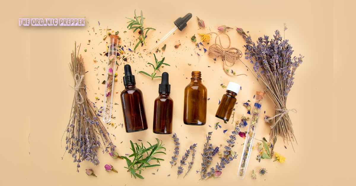 Essential Oils: Here Are Some RELIABLE Resources