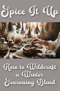 Spice It Up: How to Wildcraft a Winter Seasoning Blend