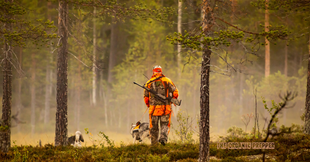 Rules for the Hunt: 7 Tips for Hunting Safety