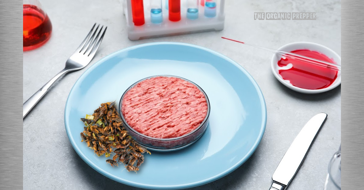 American Meat Producers Heavily Invest in “Novel Protein” Production‚ AKA Lab-Grown Meat and Bugs