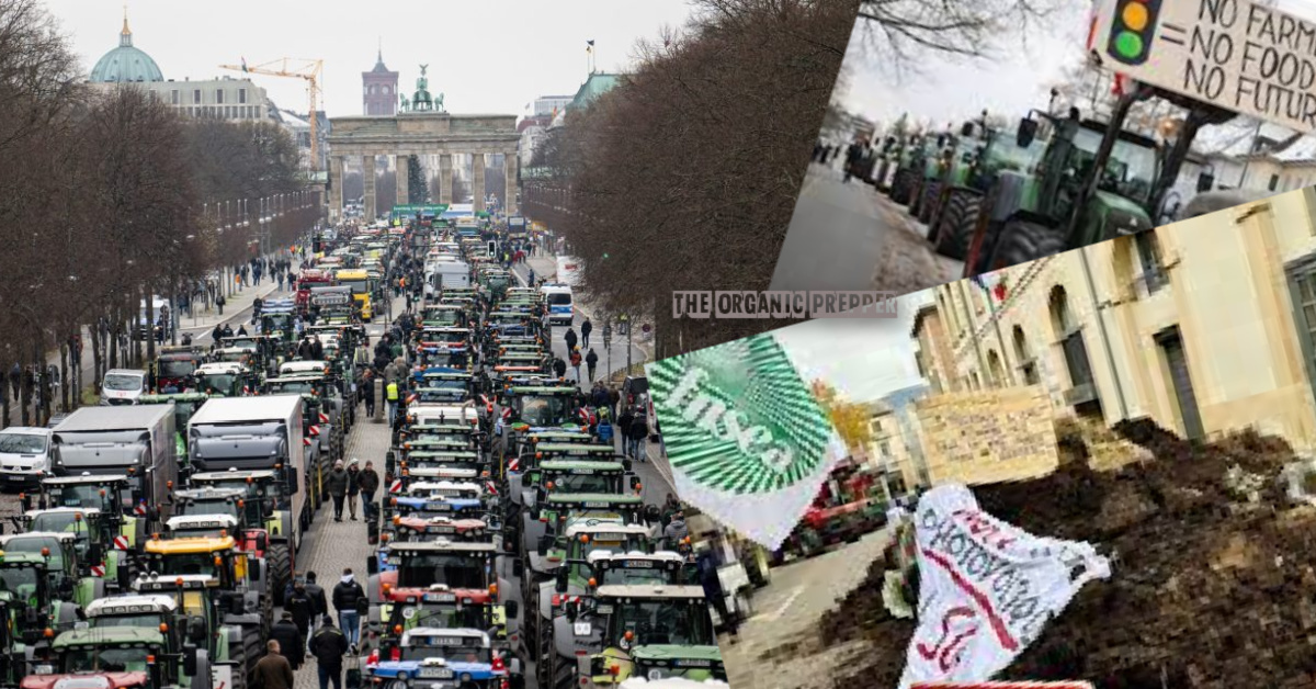 European Farmer Protests: Farmers Are the Canaries in the Climate Change Initiative Coal Mine