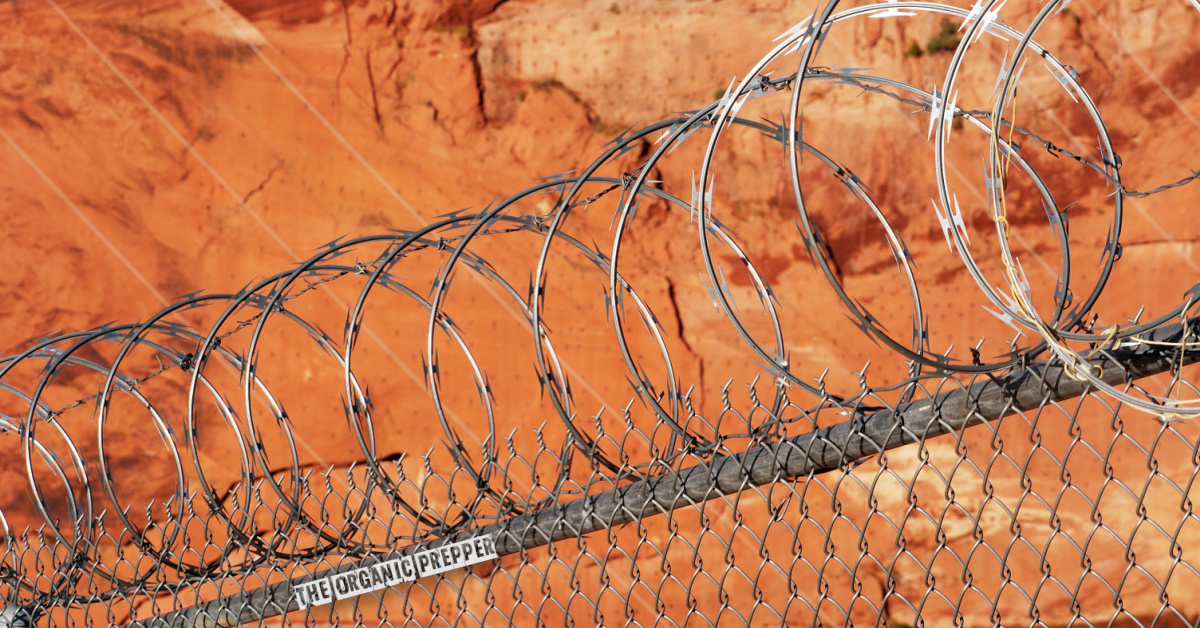 If the Federal Government Won’t Protect Us From Invasion‚ Texas Will.