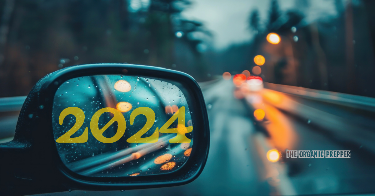 The OP’s Top 10 Articles of 2024