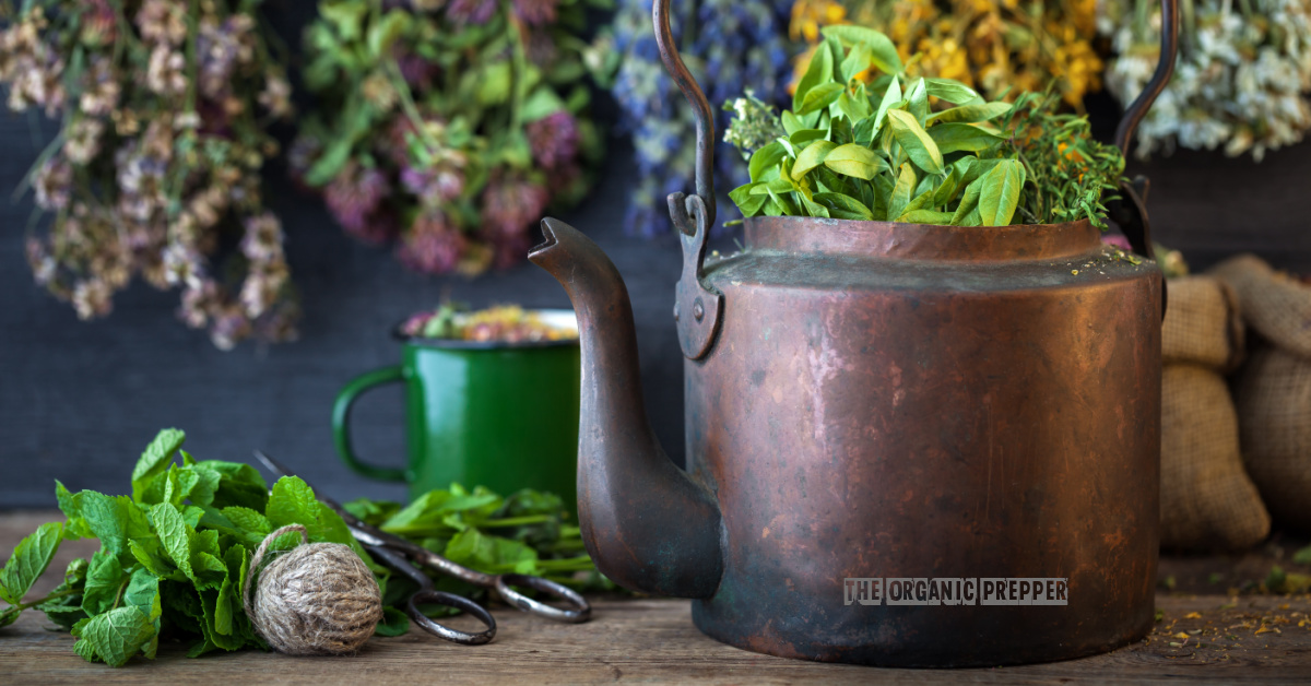 The Worst Herbal Mistakes I Know: Read and Learn