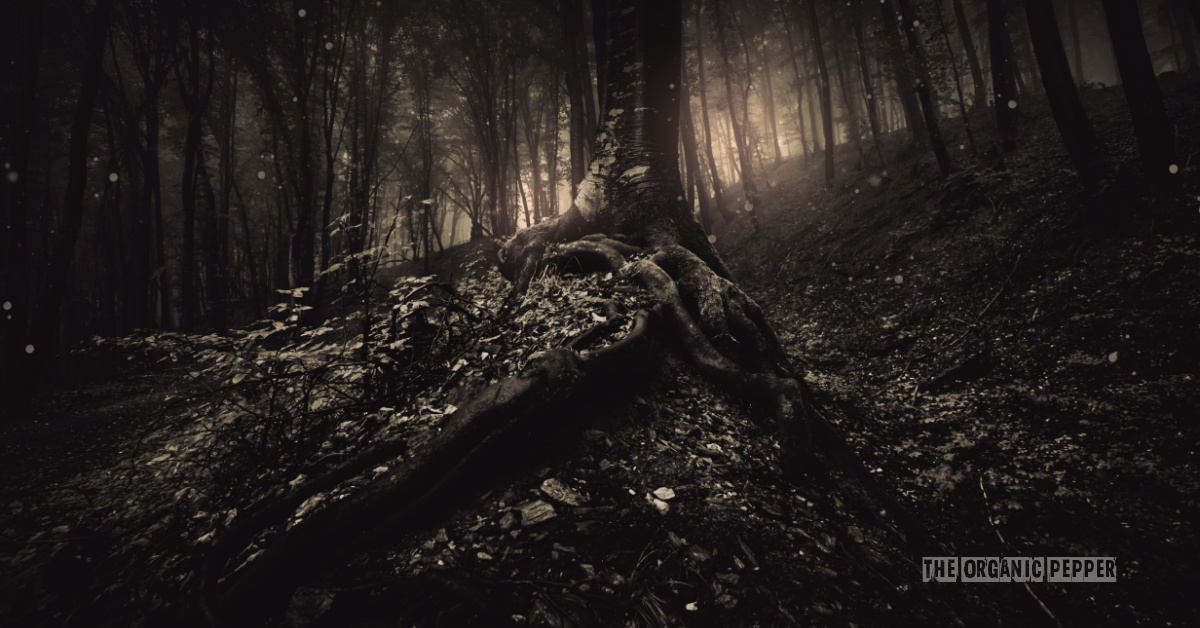Haven Hill: Chapter 18