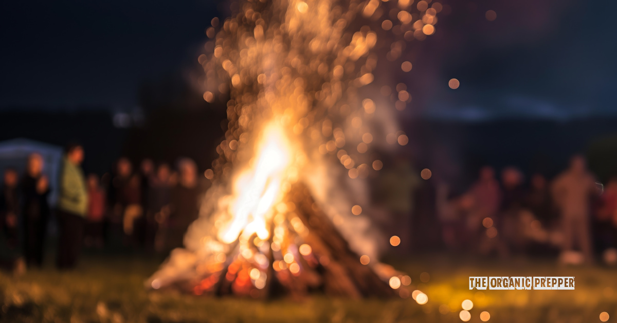 Dear Diary, It’s Me, Jessica: Chapter 22 (Book 2)