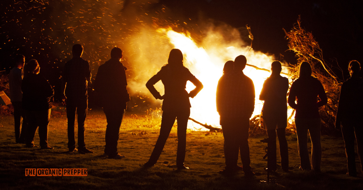 Dear Diary, It’s Me, Jessica: Chapter 24 (Book 2)