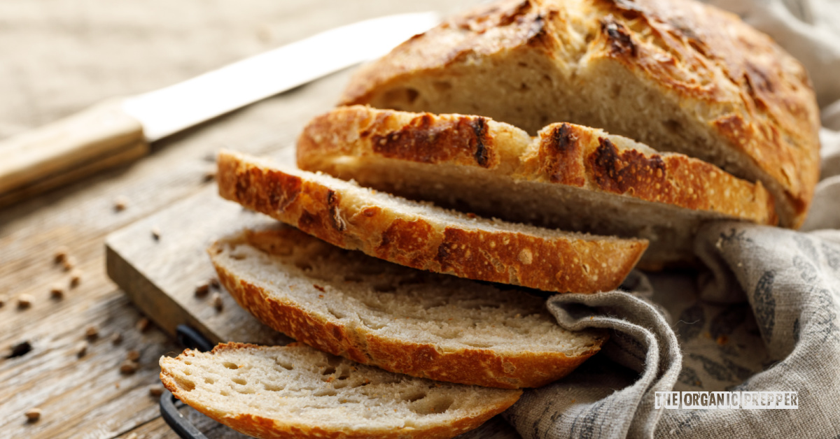 How a Bread Machine Can Save You Time and Money