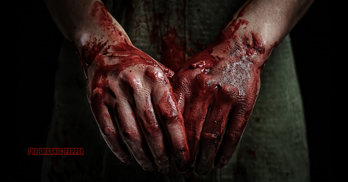 Haven Hill: Chapter 34