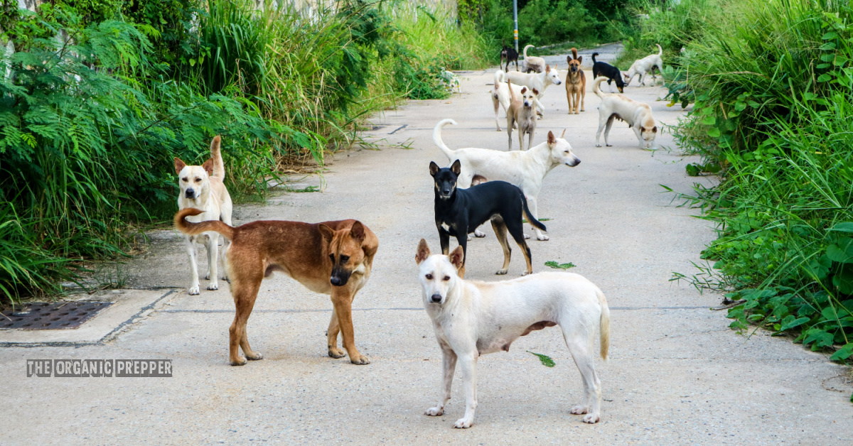 Dear Diary: It’s Me, Jessica: Chapter 3 (Book 3)