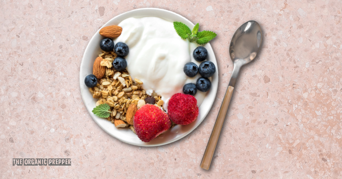 8 Delicious Ways to Enjoy Gut-Healing Yogurt